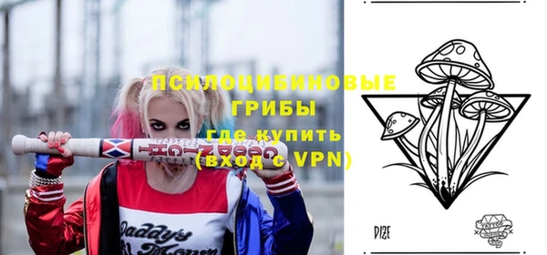 ECSTASY Балахна