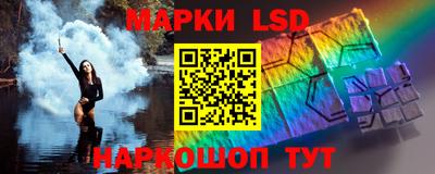 СК Новозыбков
