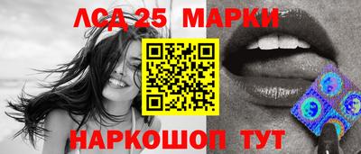 СК Новозыбков