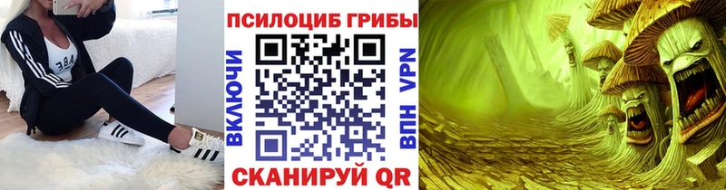 Псилоцибиновые грибы GOLDEN TEACHER  сайты даркнета как зайти  Вольск 