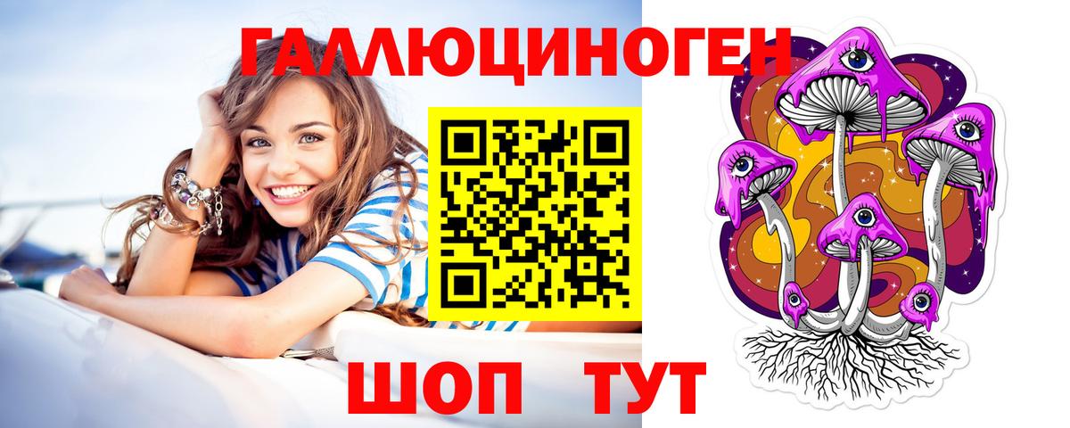 где найти наркотики  Псилоцибиновые грибы Psilocybe  Вход с VPN  Вольск 